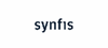 synfis Service GmbH